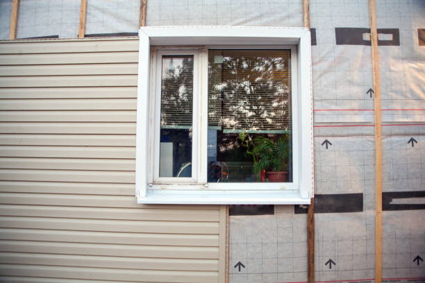 Best Custom Trim and Detailing for Siding  in Mantua, VA