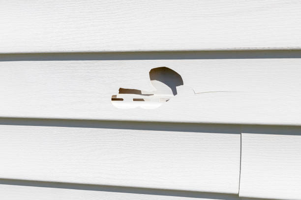 Best Fascia and Soffit Installation  in Mantua, VA