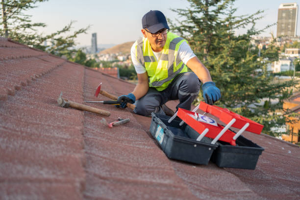 Best Siding Removal and Disposal  in Mantua, VA