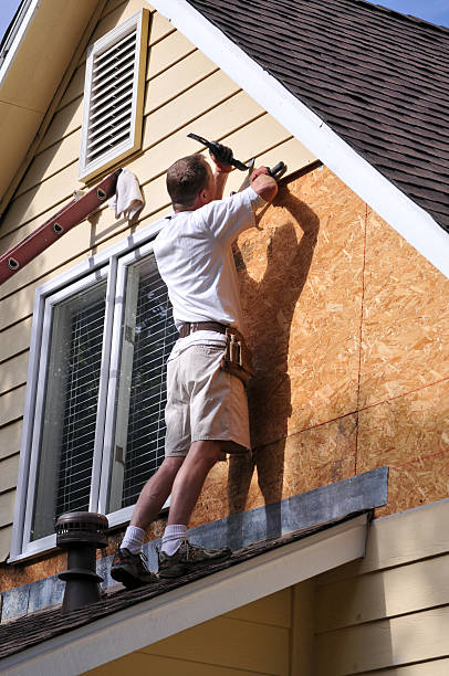 Best Custom Trim and Detailing for Siding  in Mantua, VA